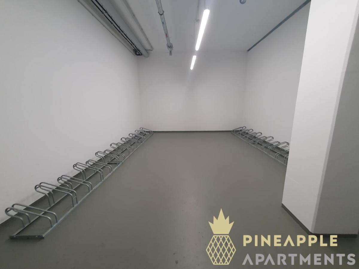 Pineapple Apartments Dresden Altstadt I - 117 Qm - 1X Free Parking Екстер'єр фото